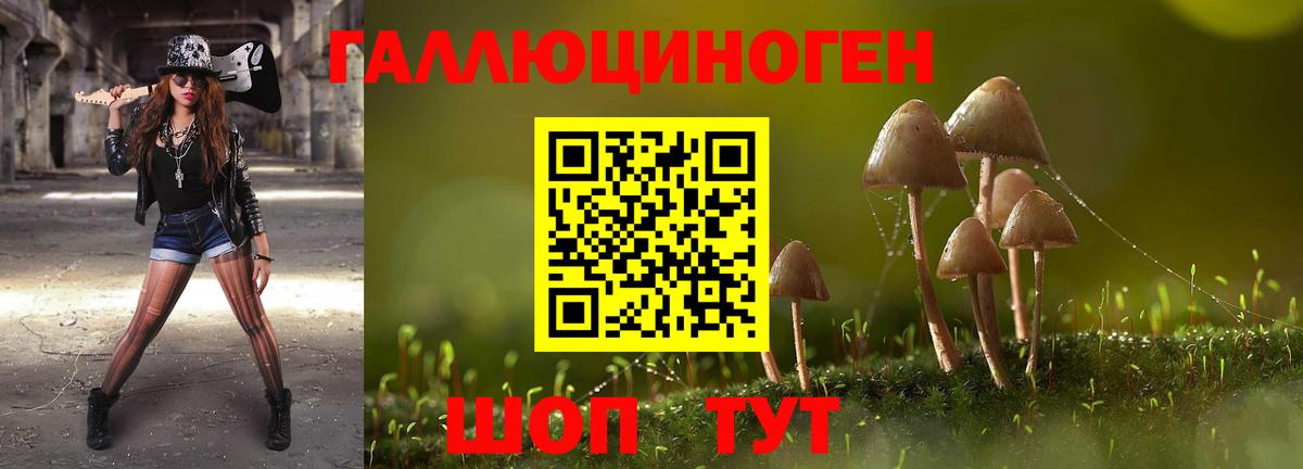 Галлюциногенные грибы MAGIC MUSHROOMS  Вход с VPN  Кувандык 